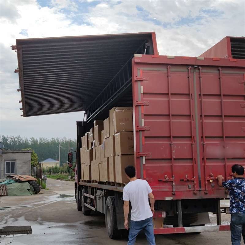 德城区扎囊县：物流专线的高效货运之旅